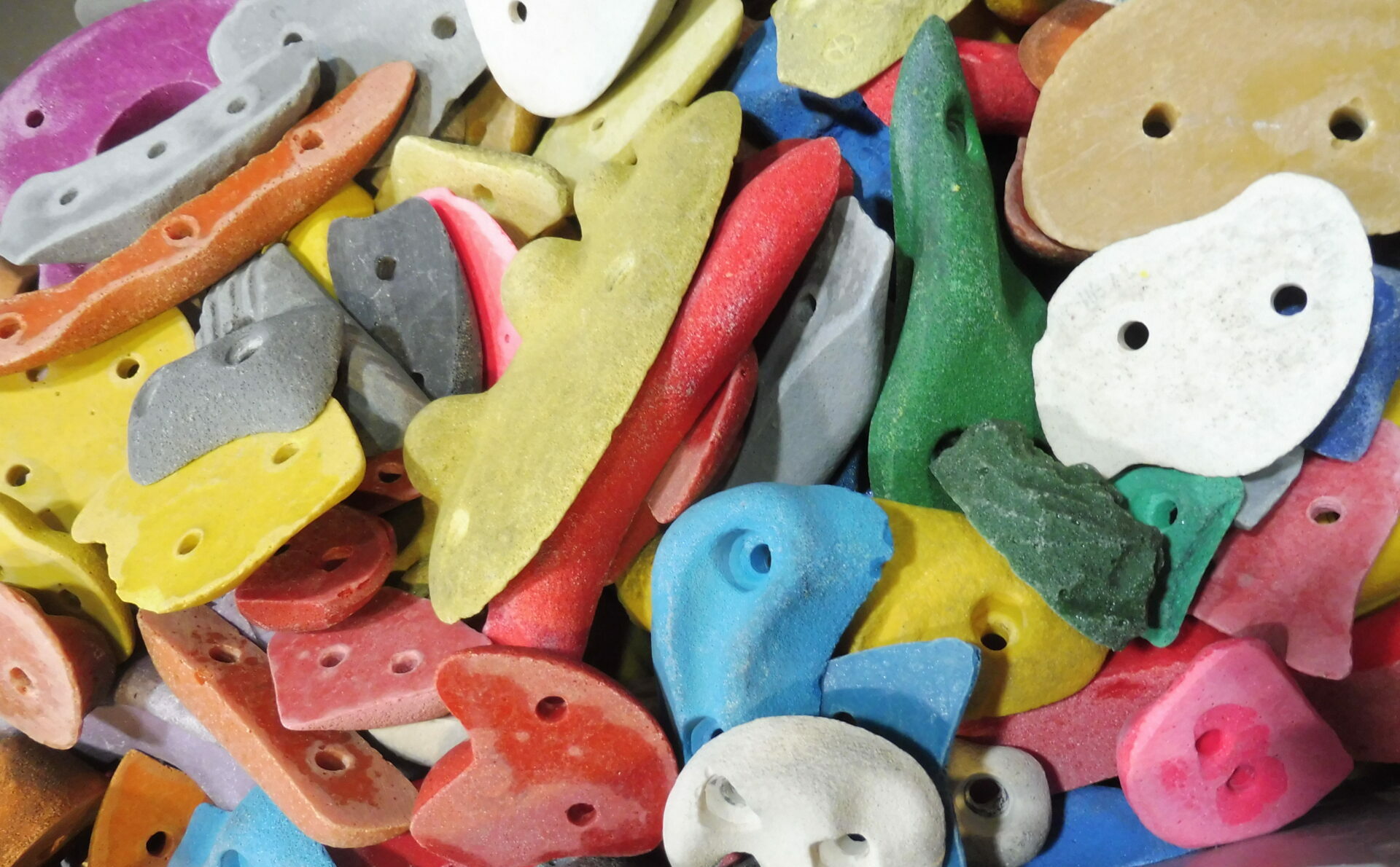Günstig gebrauchte Klettergriffe kaufen? Das geht beim DAV Erlangen. Foto: C. Bezold